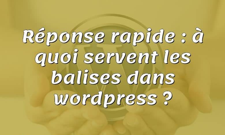 Réponse rapide : à quoi servent les balises dans wordpress ?